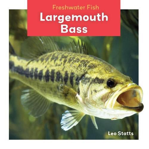 Cover image for Largemouth Bass