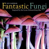 Cover image for Fantastic Fungi Wall Calendar 2025