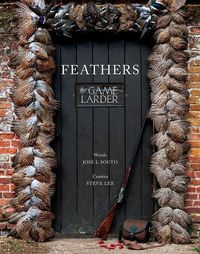 Cover image for Feathers: The Game Larder