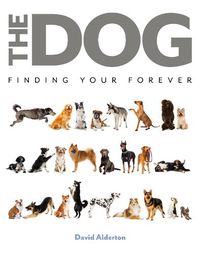 Cover image for The Dog: Finding Your Forever