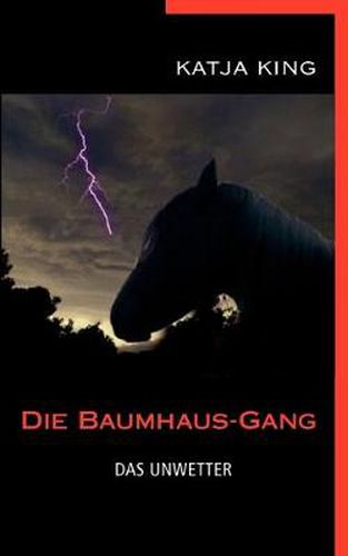 Cover image for Die Baumhaus-Gang - Das Unwetter