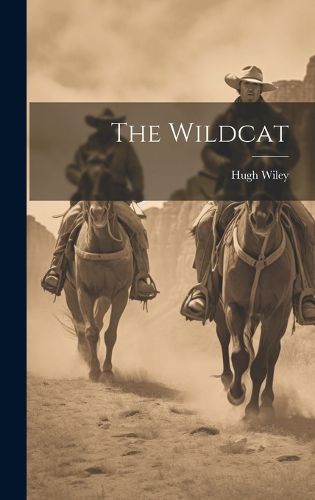 Cover image for The Wildcat