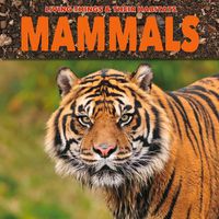 Cover image for Mammals