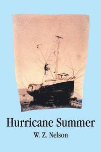 Cover image for Hurricane Summer