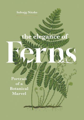 Cover image for The Elegance of Ferns