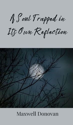 Cover image for A Soul Trapped in Its Own Reflection