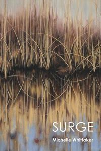 Cover image for Surge