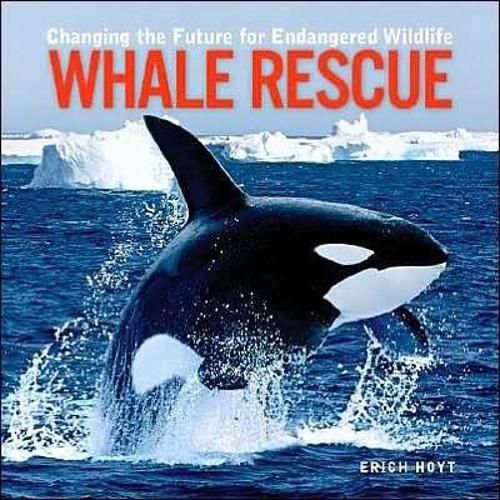 Cover image for Whale Rescue