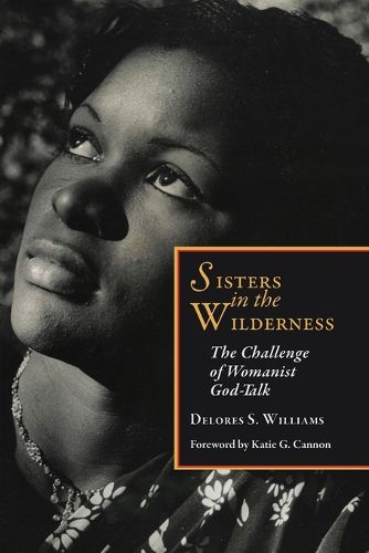 Cover image for Sisters in the Wilderness: The Challenge of Womanist God-talk