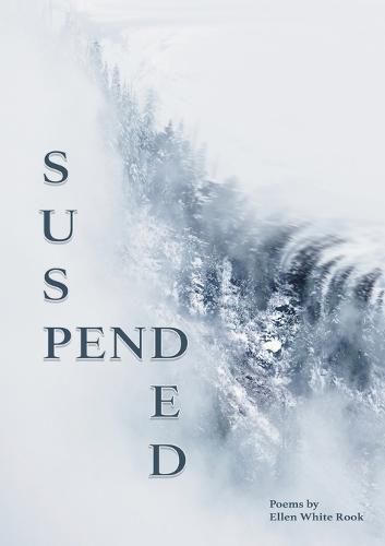 Cover image for Suspended