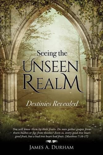 Cover image for Seeing the Unseen Realm