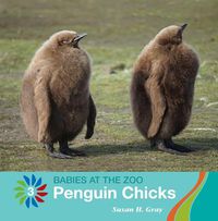 Cover image for Penguin Chicks