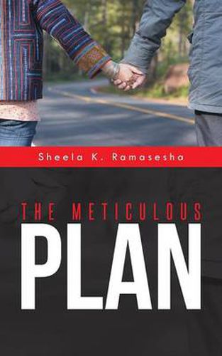 Cover image for The Meticulous Plan