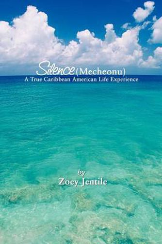 Cover image for Silence (Mecheonu)