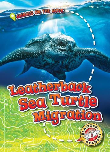 Leatherback Sea Turtle Migration