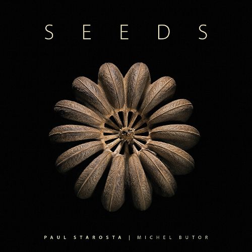 Cover image for Seeds