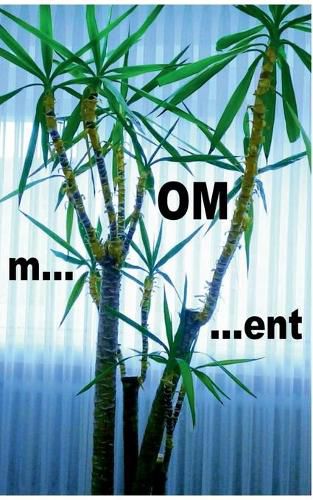 Cover image for m...OM...ent: Das Leben nach dem spirituellen Burnout