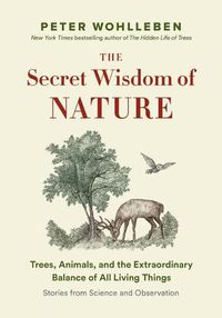 Cover image for Secret Wisdom of Nature