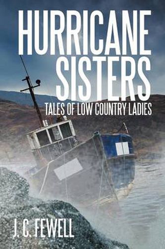 Cover image for Hurricane Sisters