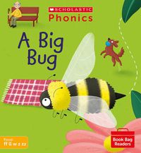 Cover image for A Big Bug (Set 3)
