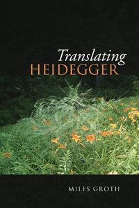 Cover image for Translating Heidegger