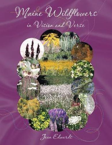 Cover image for Maine Wildflowers in Vision and Verse