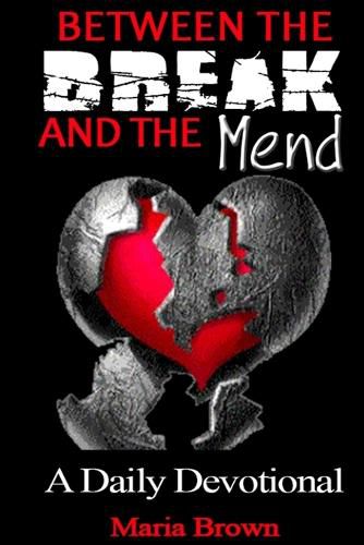 Cover image for Between the Break and the Mend