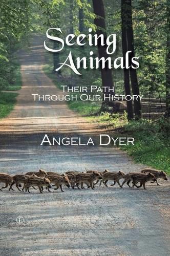 Cover image for Seeing Animals: Their Path Through Our History