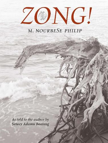 Cover image for Zong!