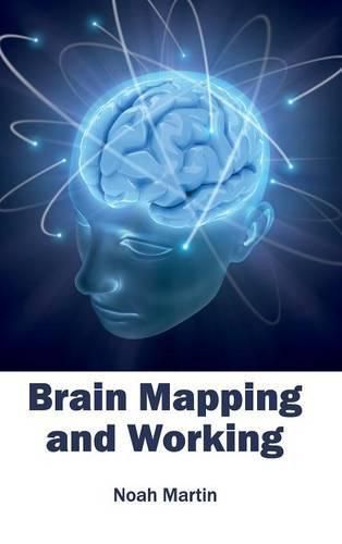 Cover image for Brain Mapping and Working