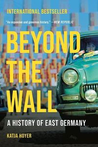 Cover image for Beyond the Wall