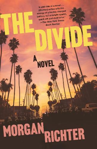 Cover image for The Divide