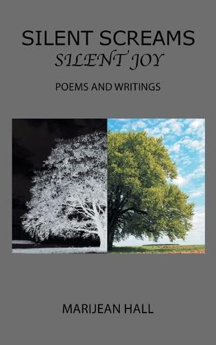 Cover image for Silent Screams Silent Joy