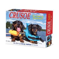 Cover image for Crusoe the Celebrity Dachshund 2025 6.2 X 5.4 Box Calendar