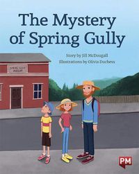 Cover image for The Mystery of Spring Gully