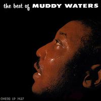 Cover image for Best Of Muddy Waters ***vinyl