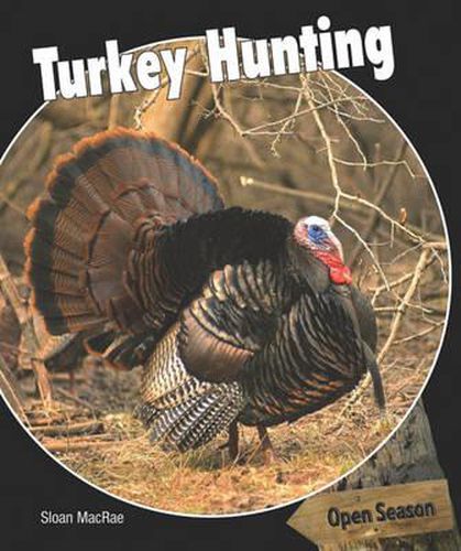 Cover image for Turkey Hunting