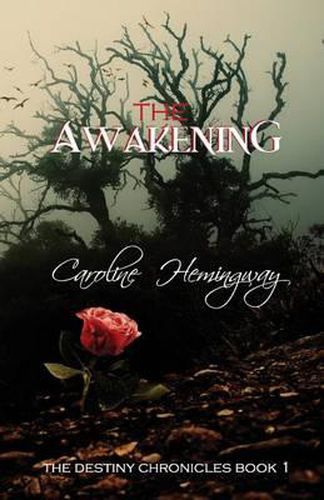 Cover image for The Awakening