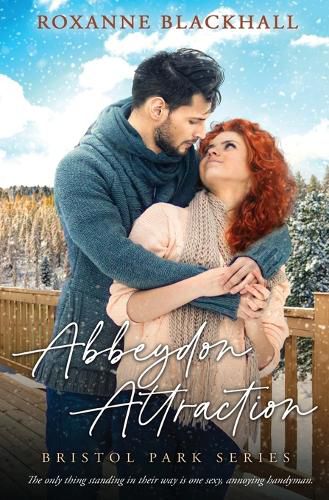 Cover image for Abbeydon Attraction
