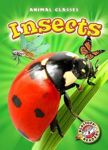 Insects