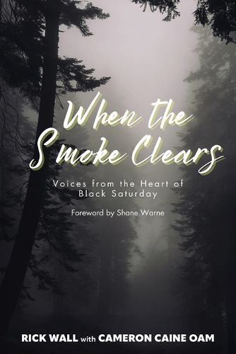 Cover image for When the Smoke Clears