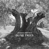 Cover image for Olive Trees: Jacques Berthet