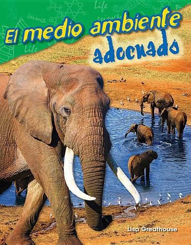 El medio ambiente adecuado (The Right Environment)