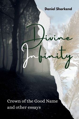Cover image for Divine Infinity