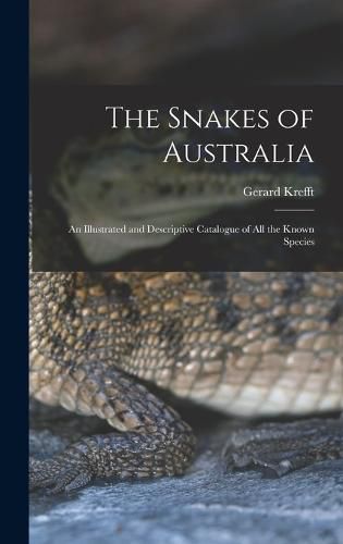 Cover image for The Snakes of Australia; an Illustrated and Descriptive Catalogue of all the Known Species