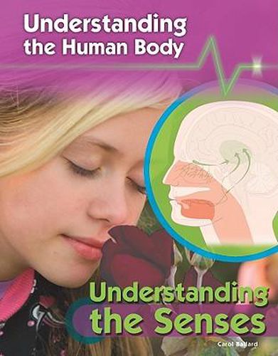 Cover image for Understanding the Senses