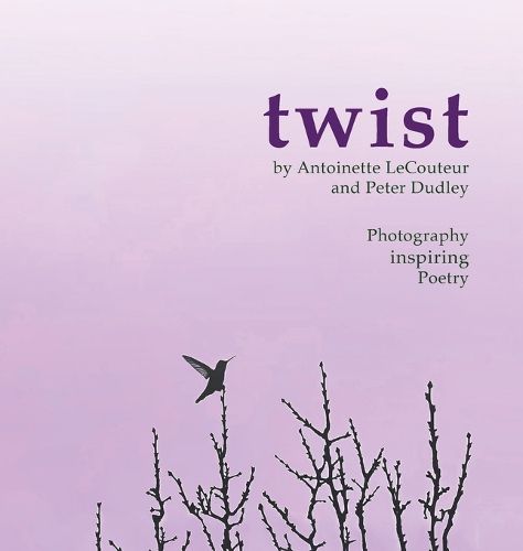 Cover image for twist