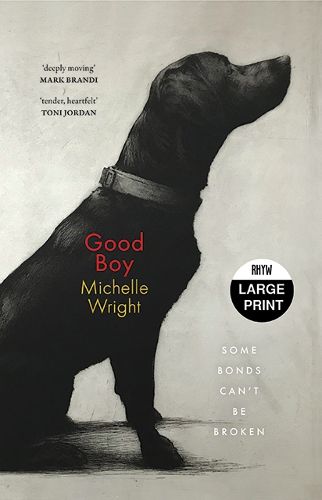 Cover image for Good Boy