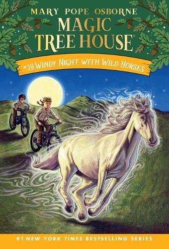 Cover image for Windy Night with Wild Horses
