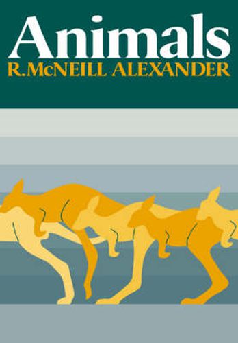 Cover image for Animals